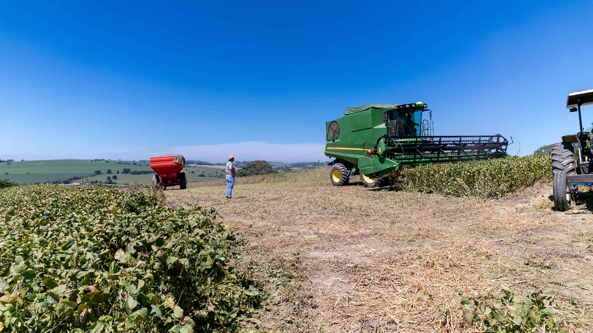 Pará possui 32 mil hectares de soja com potencial para agricultura regenerativa, aponta estudo